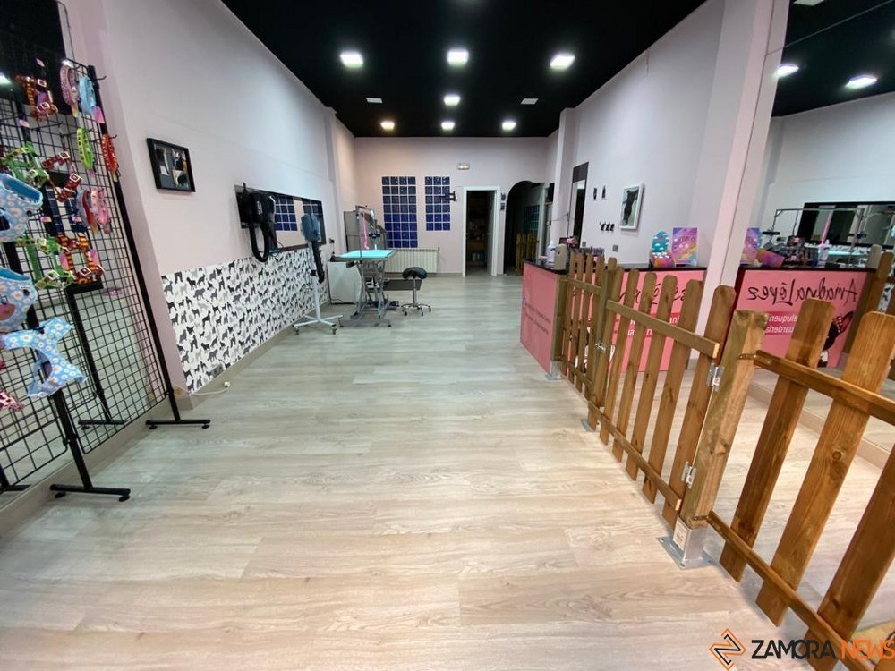 ariadna lópez peluquería canina (8)