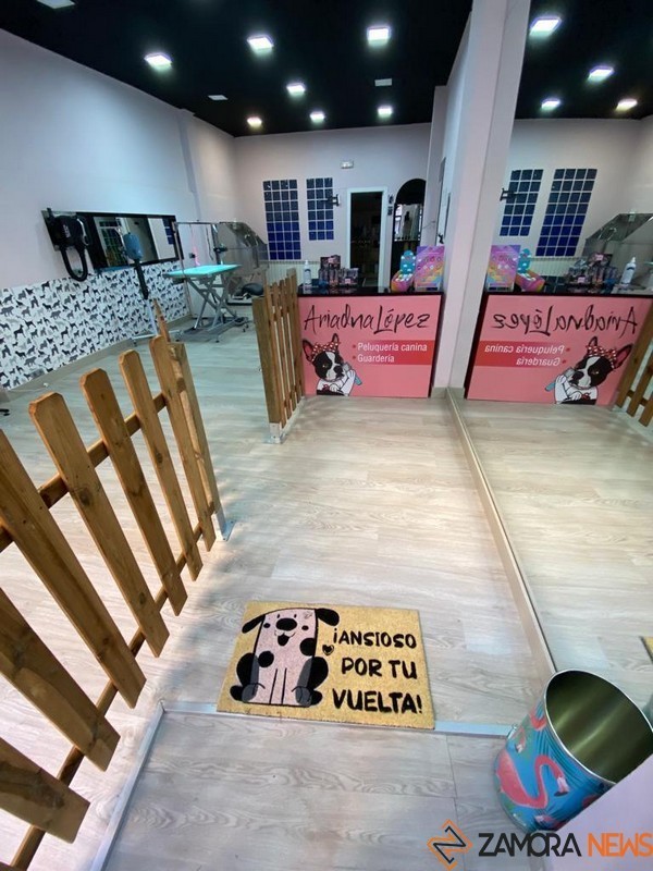 ariadna lópez peluquería canina (4)