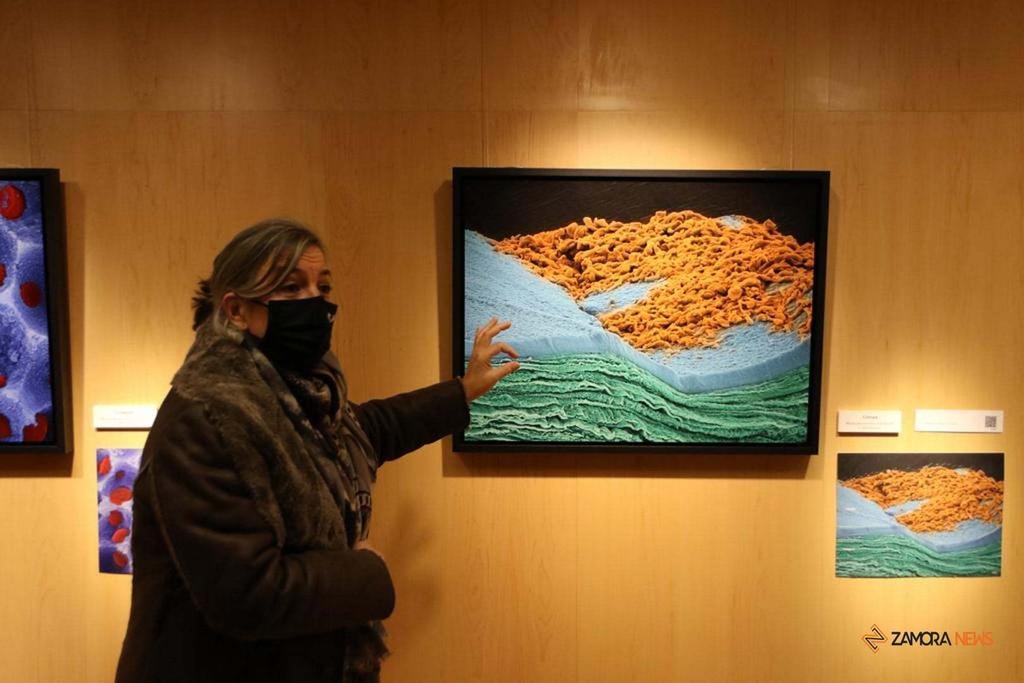 Exposición