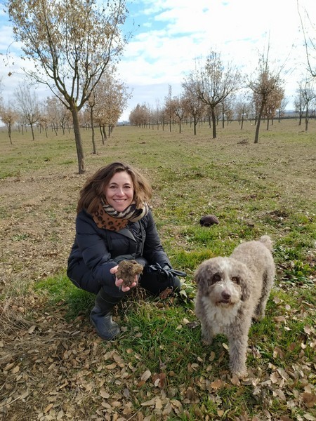 trufa diputación subasta