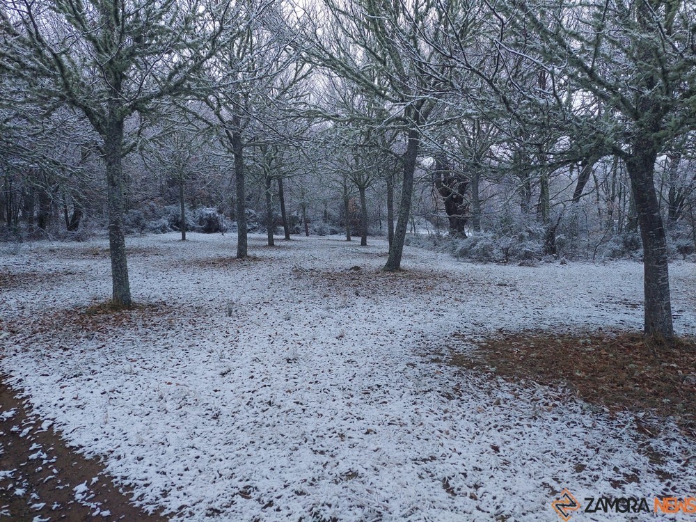 sanabria helada nieve