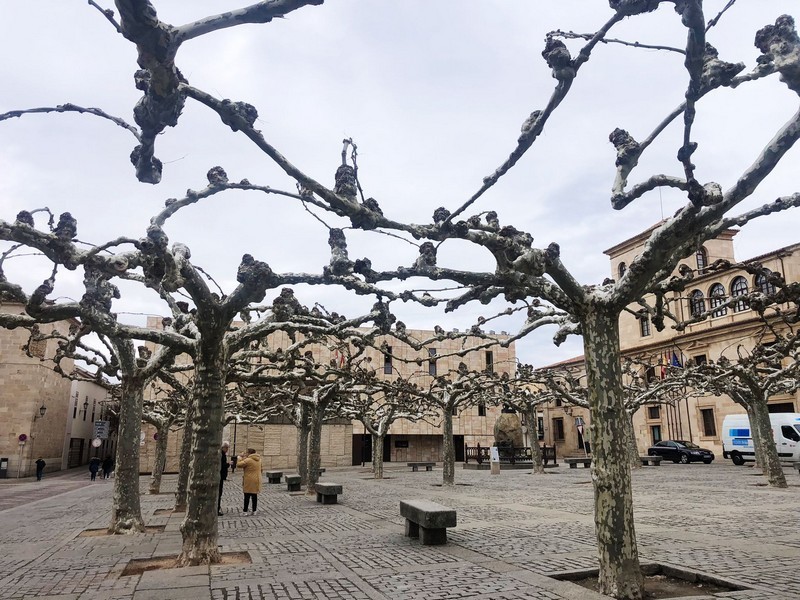 La incidencia acumulada a 14 días se estanca en Zamora, pero el índice de contagios cae de forma notable