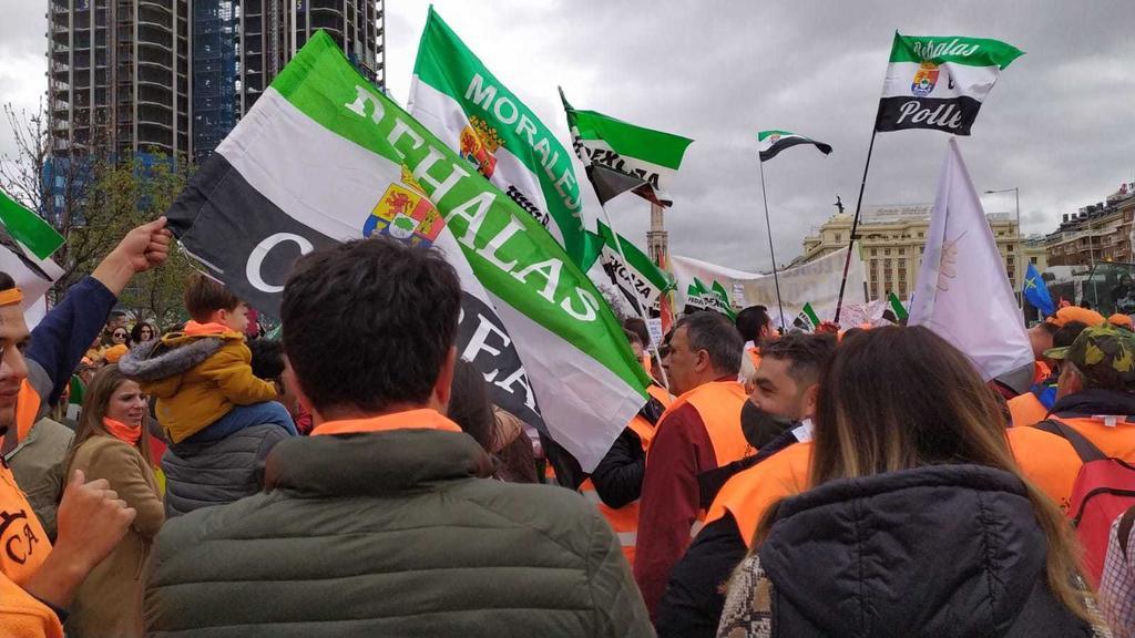 Manifestación del campo