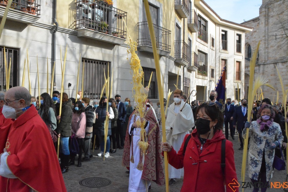 domingo de Ramos y palmas (97)