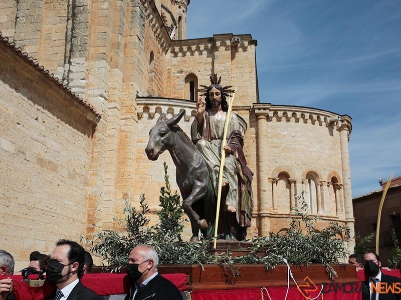 Domingo de Ramos en Toro (12)
