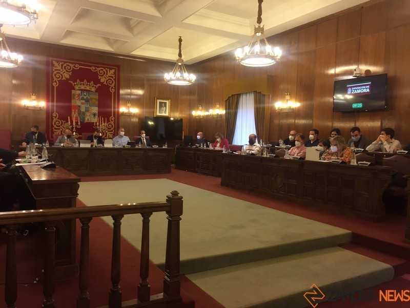 Pleno Diputación