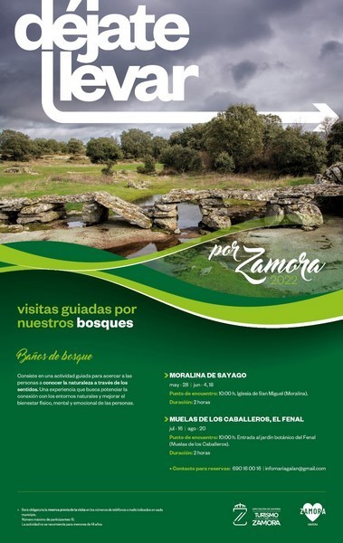 Ruta de los bosques