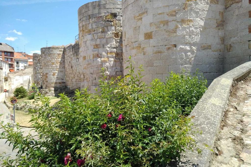 Murallas de Zamora