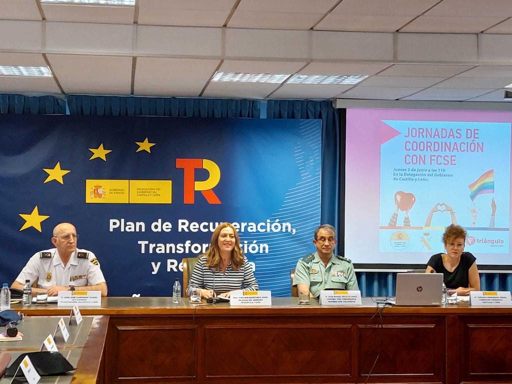 La delegada del Gobierno en Castilla y León, Virginia Barcones