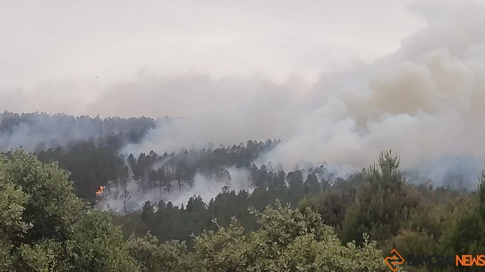 fuego Ferreras la culebra (10)