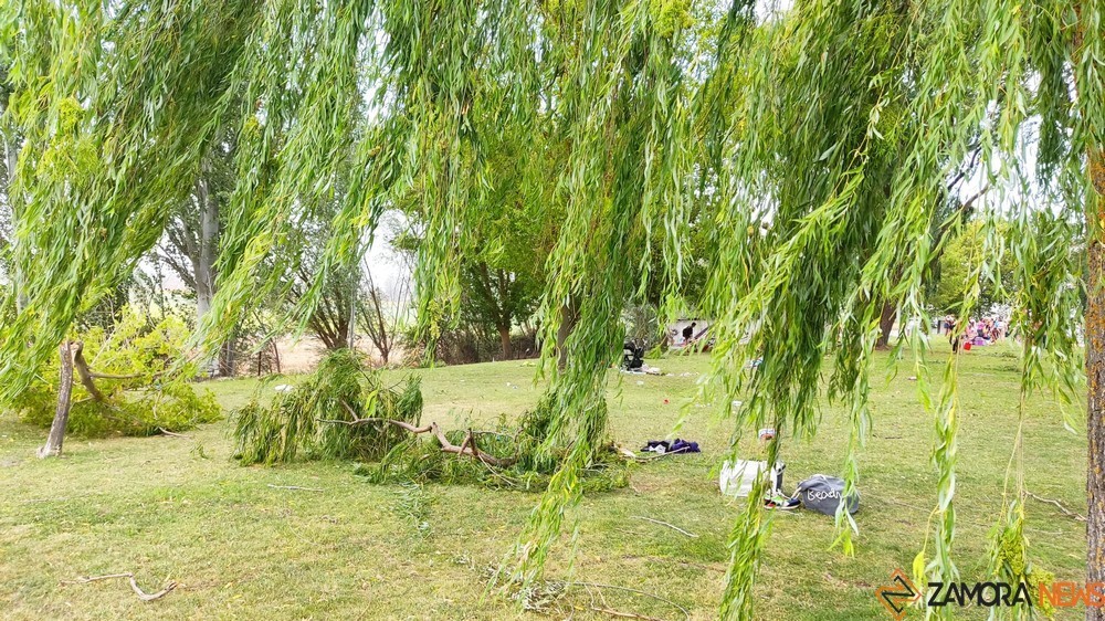 villaralbo viento