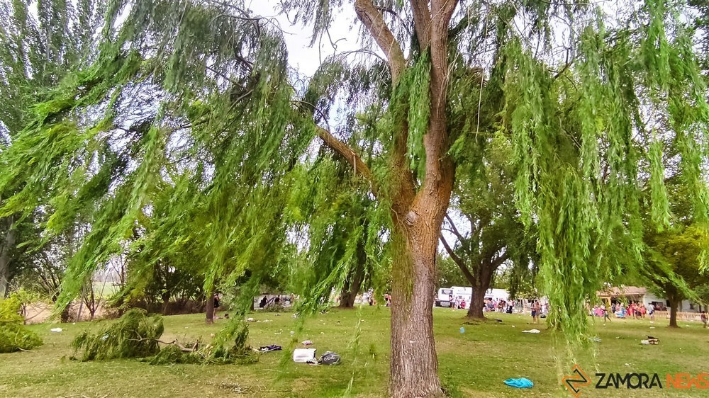 villaralbo