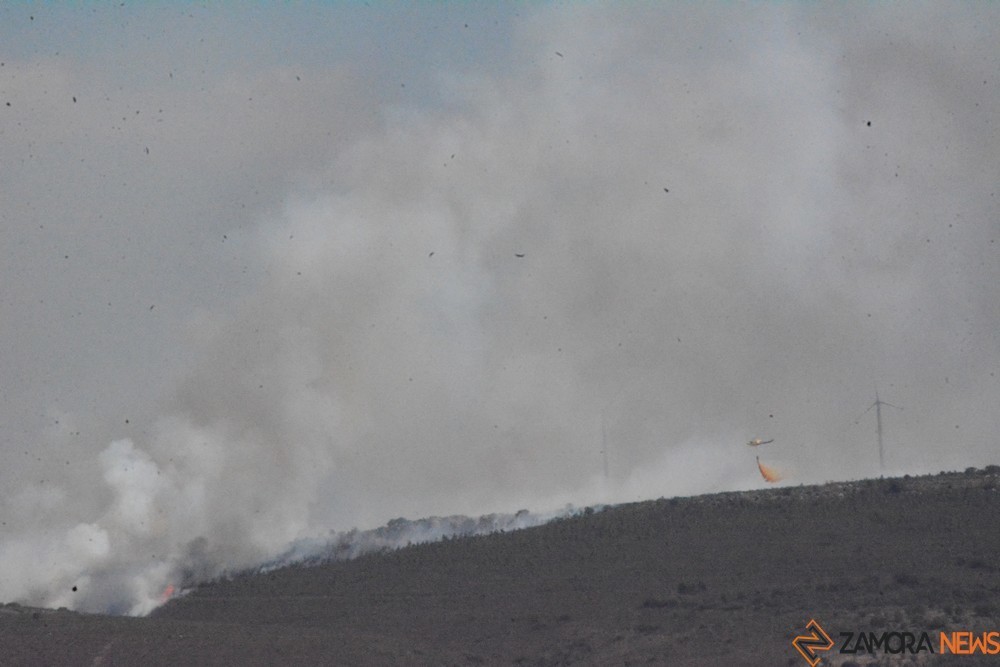 Fuego losacio dia 19 (76)