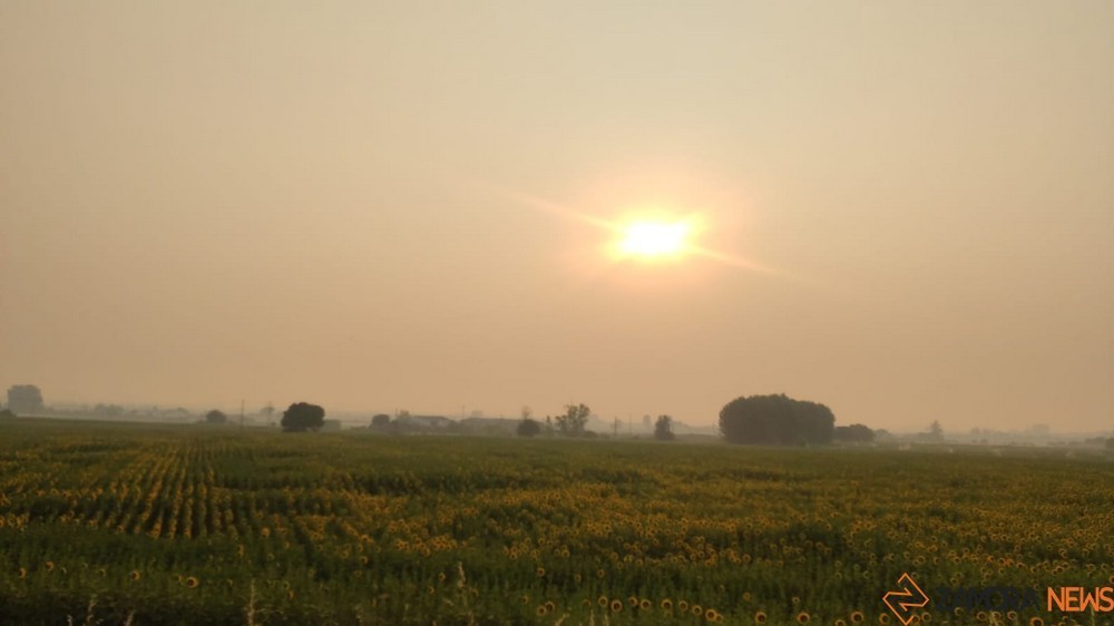 calima humo