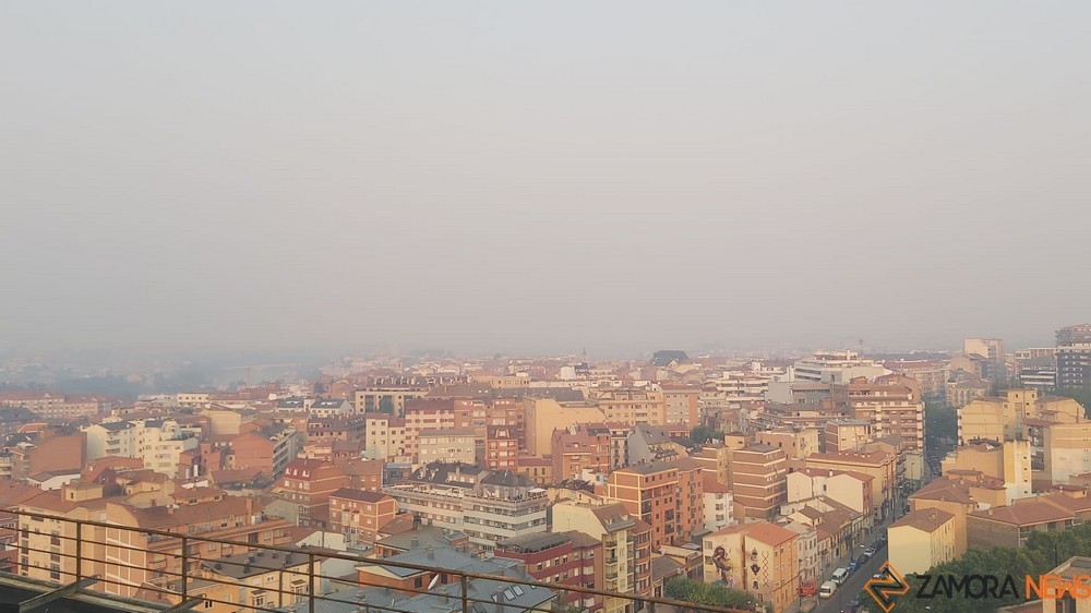 zamora 1