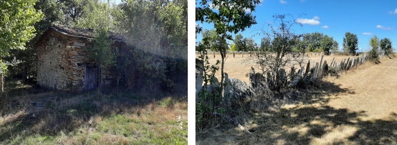 Caseta de era en el camino Las Eras (Santa Ana) y Prado vallado con fincones (Vivinera)