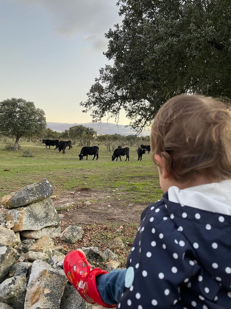 La benjamina de la familia Casado Tejedor junto a la explotación familiar de raza sayaguesa. Fotografía CEDIDA