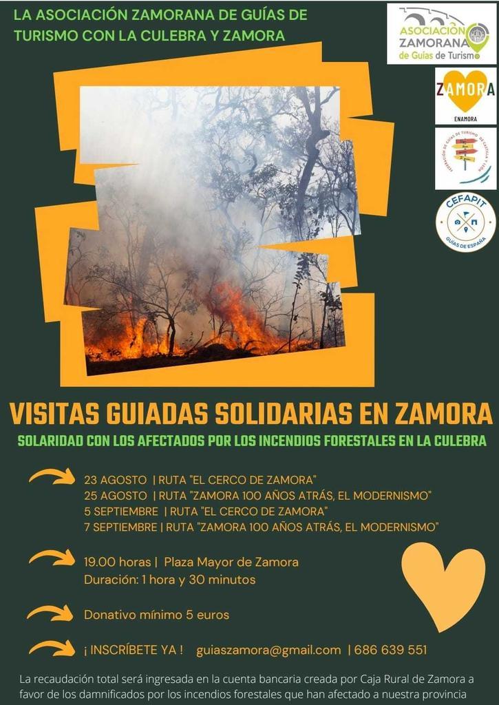 Visitas solidarias