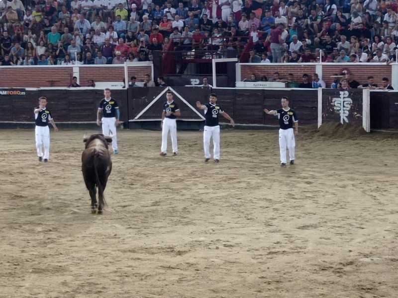 Concurso de recortes en San Sebastián de los Reyes. Foto cedida