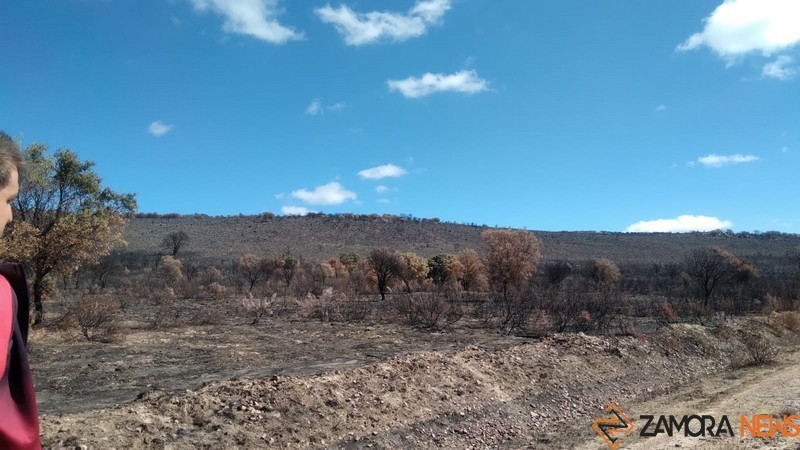 Rastros del incendio en Sesnández