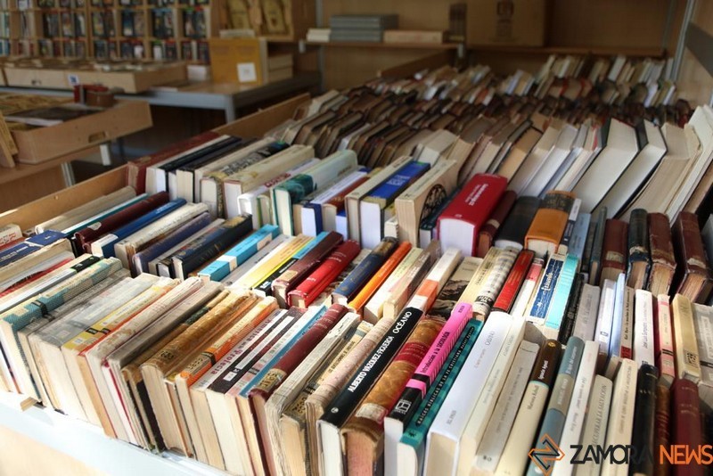 Feria del Libro y de Ocasión (3)