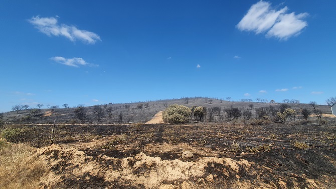 Foto del incendio en la Sierra de la Culebra