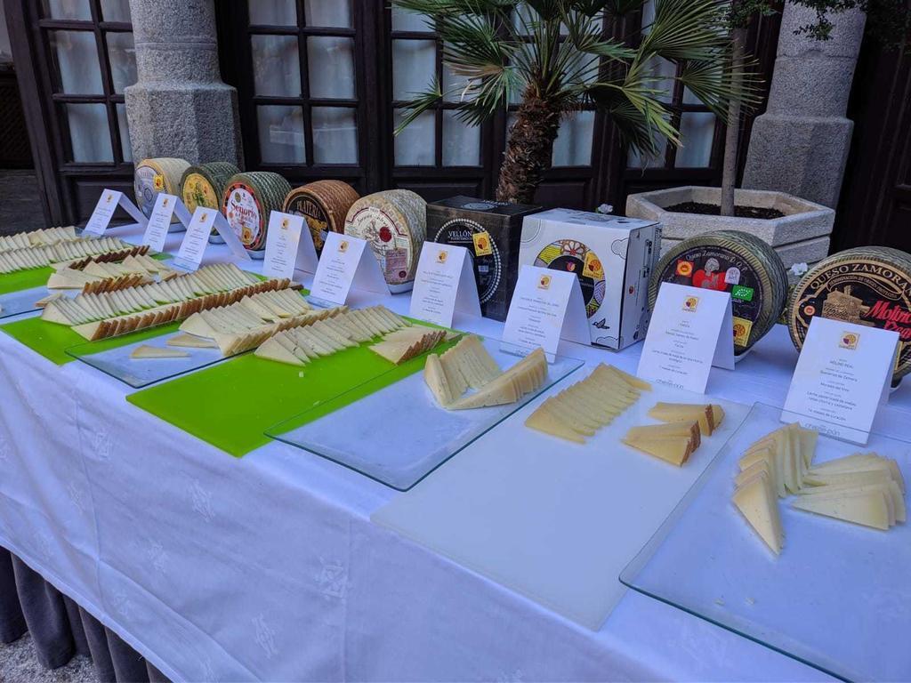 Festival Cheese-Pún