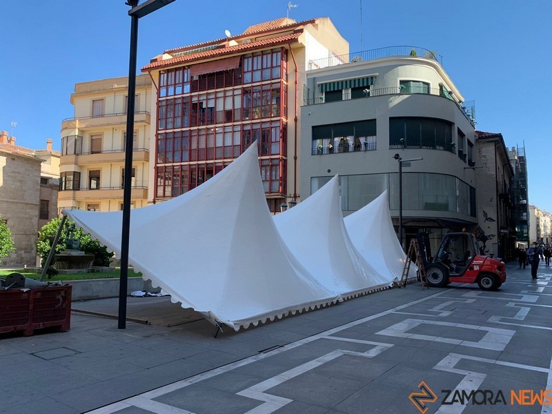 Carpas Fromago