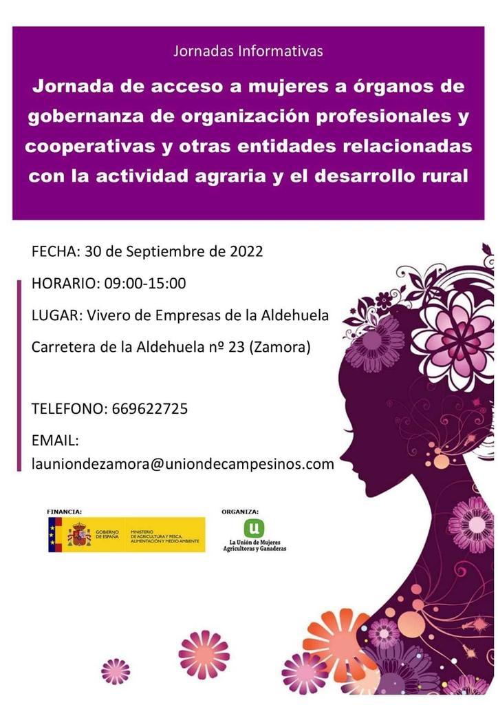 CARTEL JORNADA ACCESO MUJERES