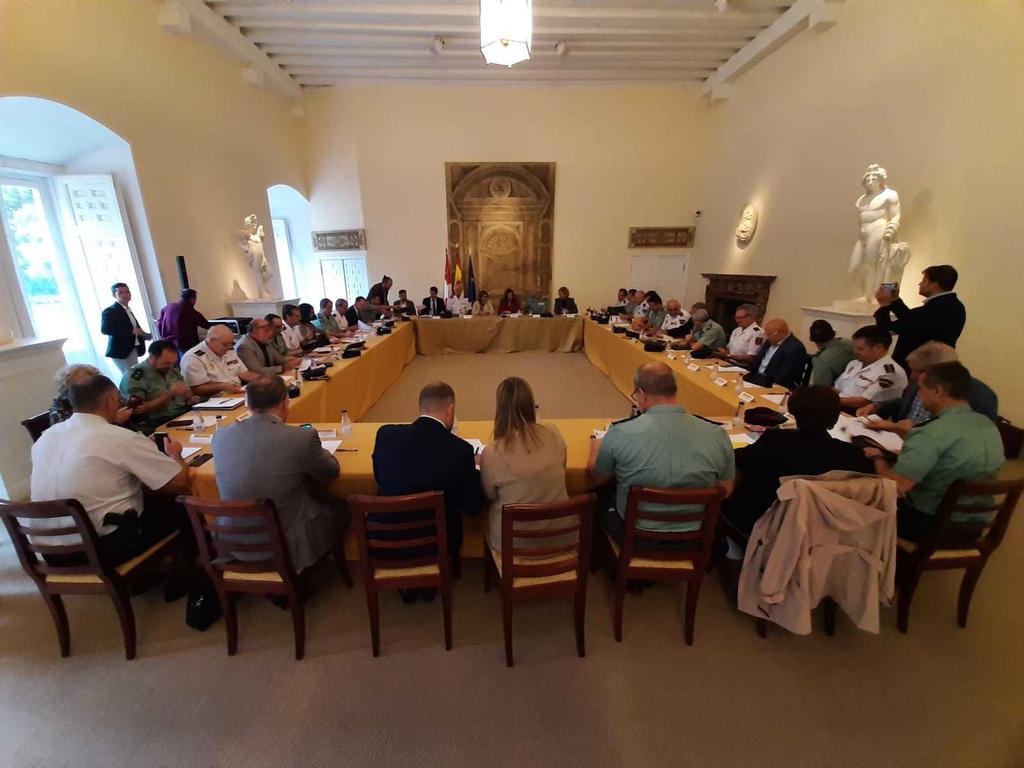 Reunión de la Comisión Territorial de Asistencia a la Delegada del Gobierno en Castilla y León