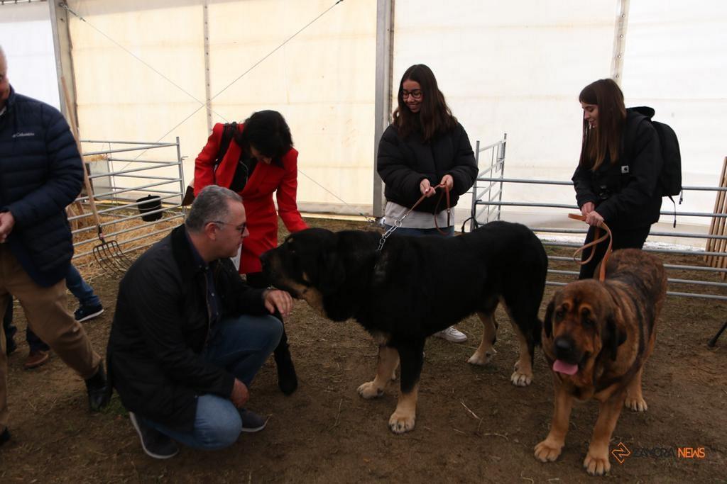Salón OVINNOVA 2022 en IFEZA