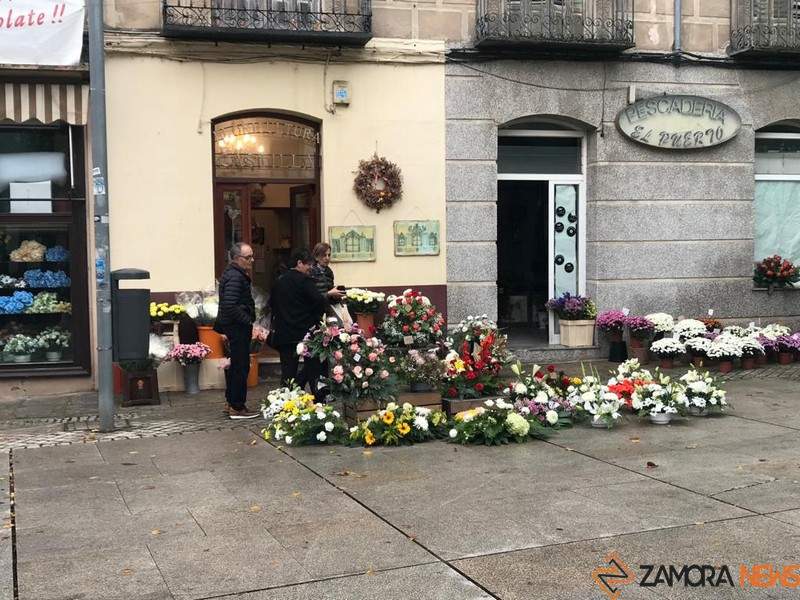 Floristería cercana al Mercado de Abastos