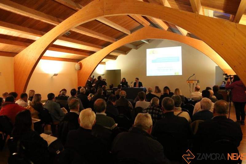 Virginia Barcones se reúne con los alcaldes de la provincia de Zamora