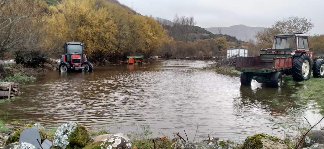 Río en Sanabria (2)