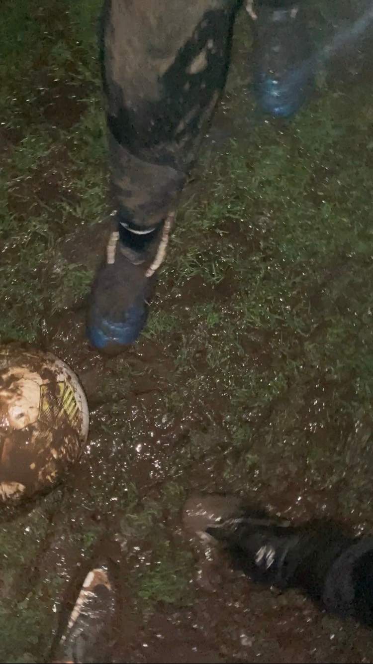 Estado campo de juego