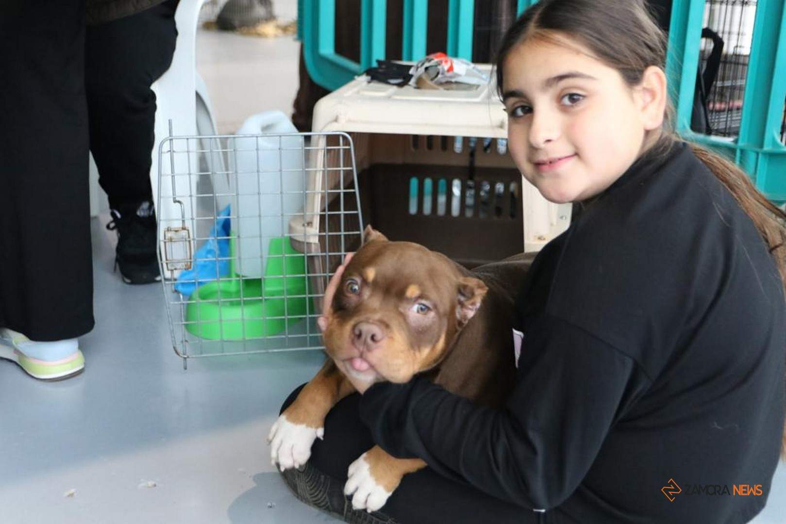 Certamen Euronationals 2023 American Bully_38