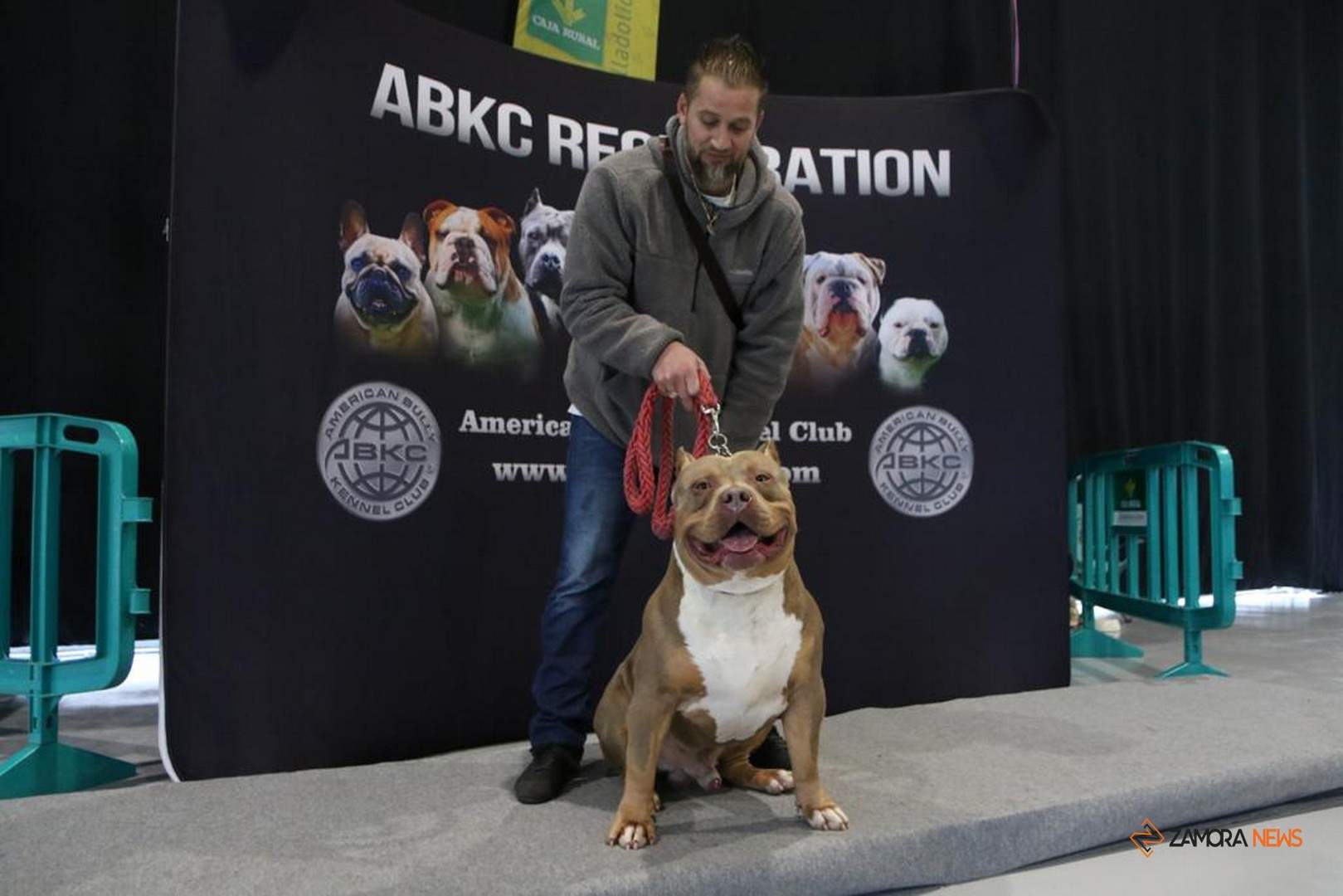 Certamen Euronationals 2023 American Bully_12