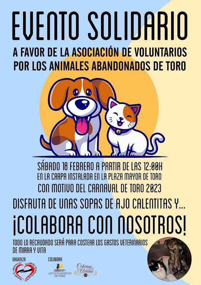 Cartel - animales abandonados - Toro 2023