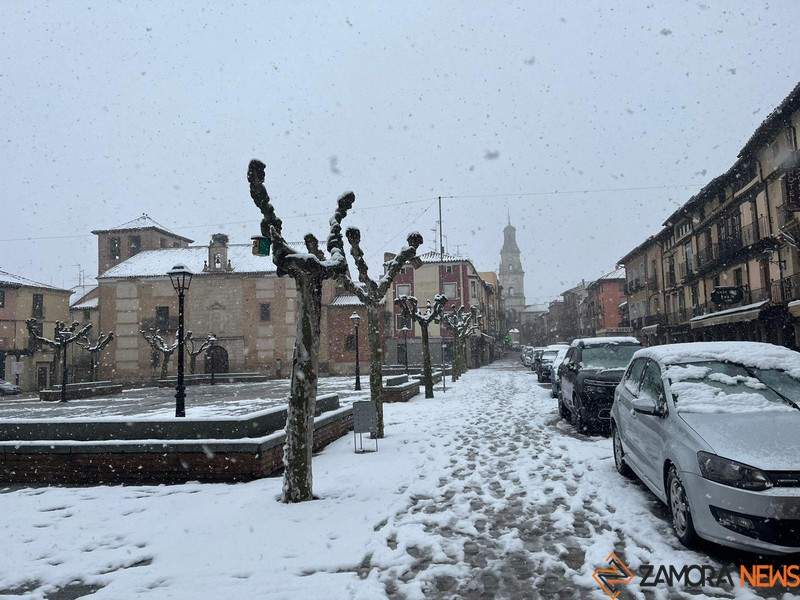 Nieve en Toro (2)