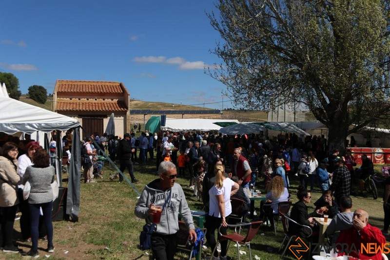 Cientos de zamoranos disfrutan del buen tiempo en Valderrey (5)