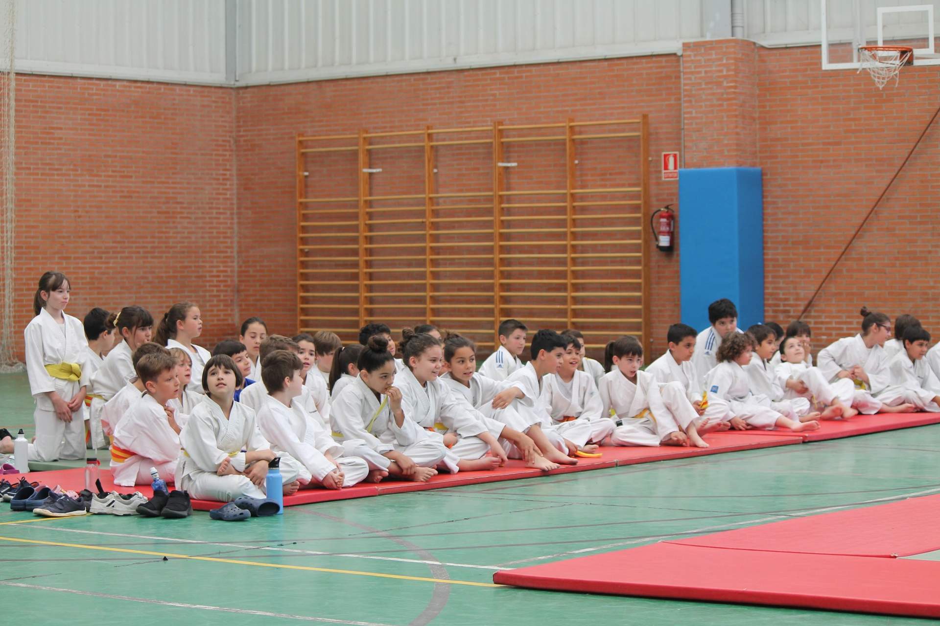 Judokas
