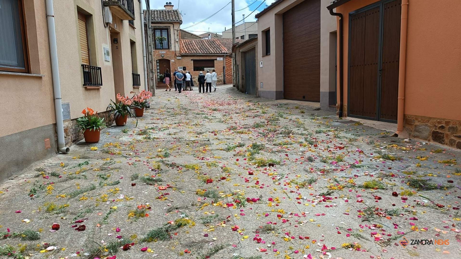 Fiesta del Corpus Christi en Granja de Moreruela_5