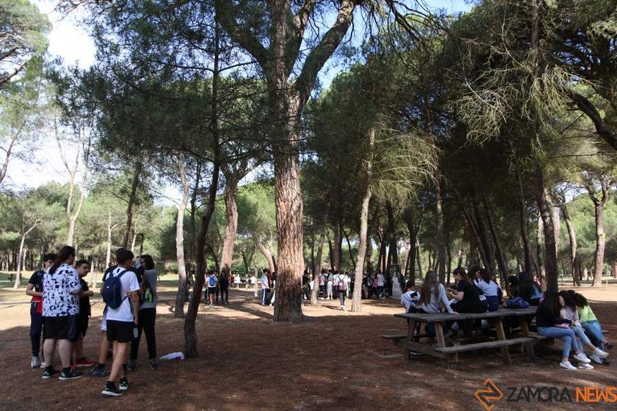 Carrera Colegio La Milagrosa_11