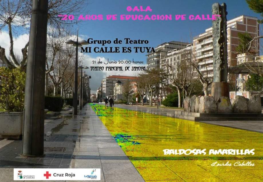 Cartel Gala educación calle