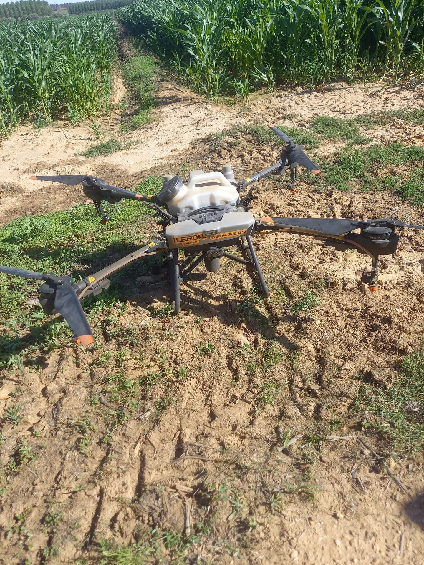 dron agrícola
