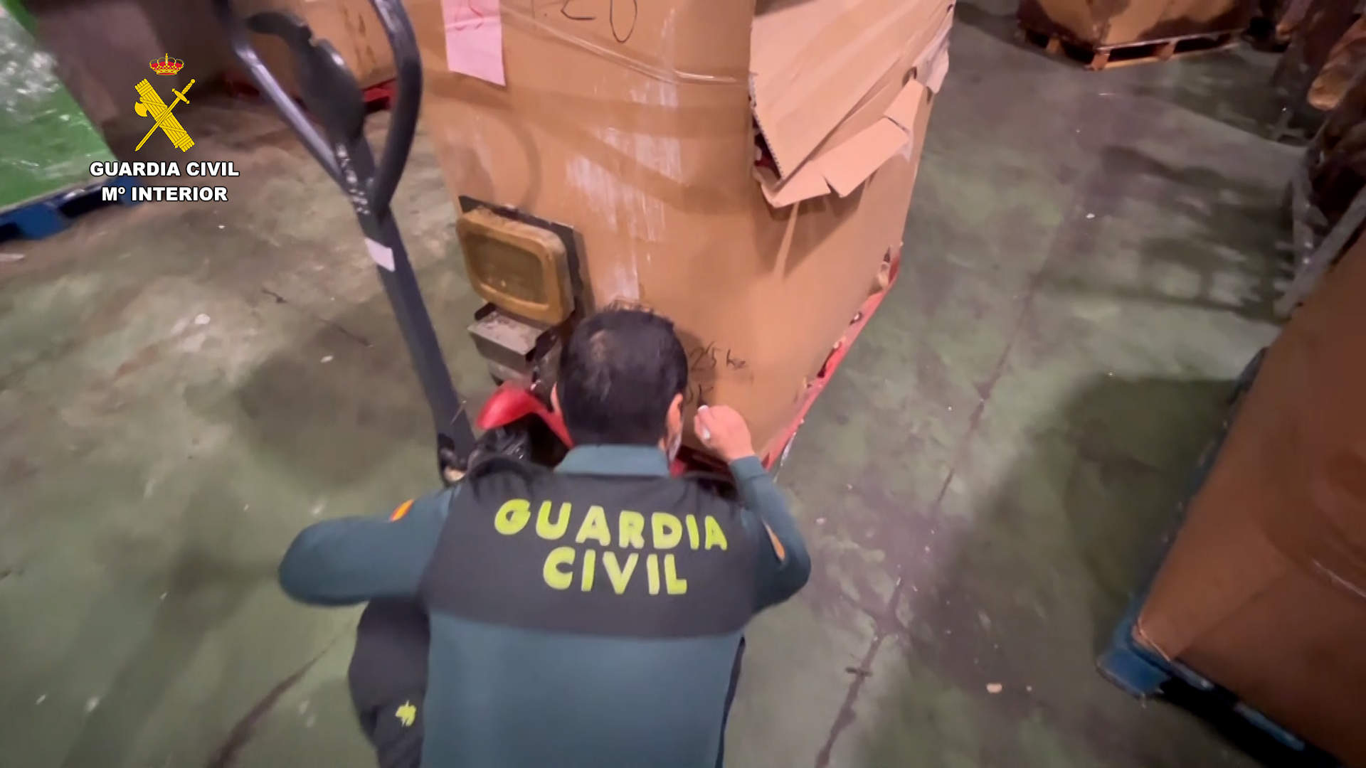 Incautadas en Sevilla más de 50 toneladas de falsos jamones pata negra. Fotografía: GC