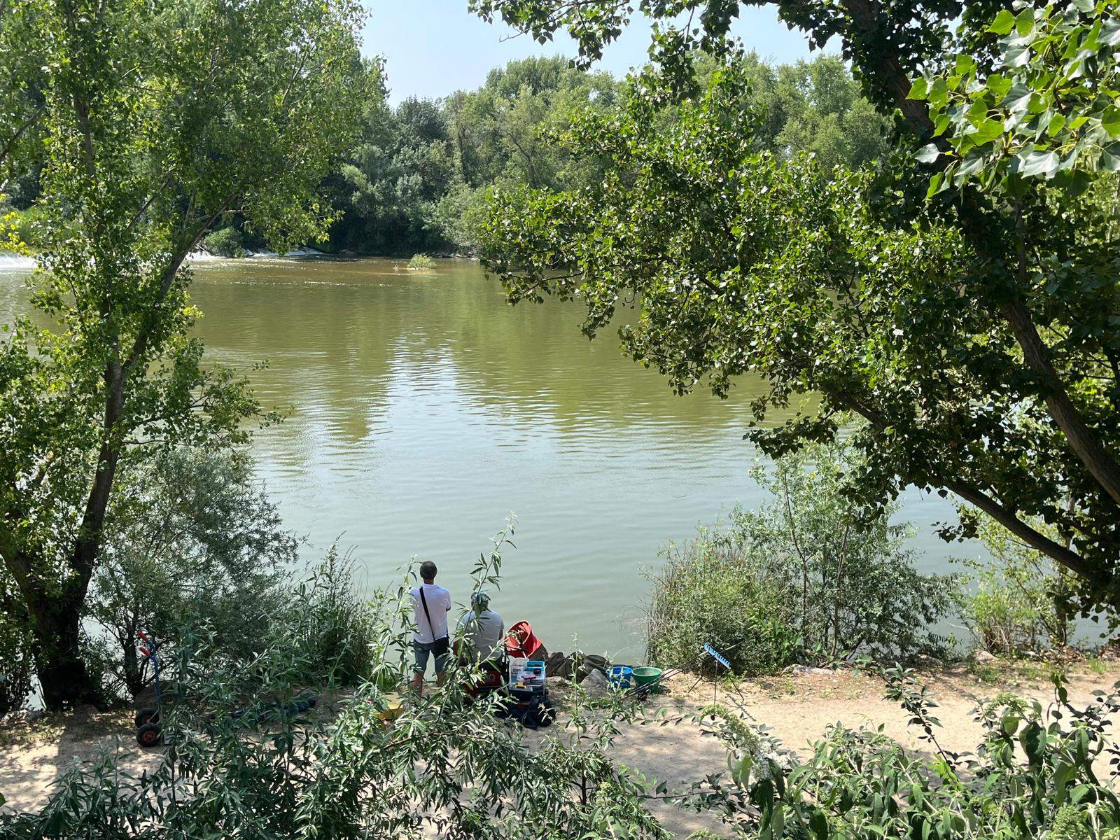 pesca
