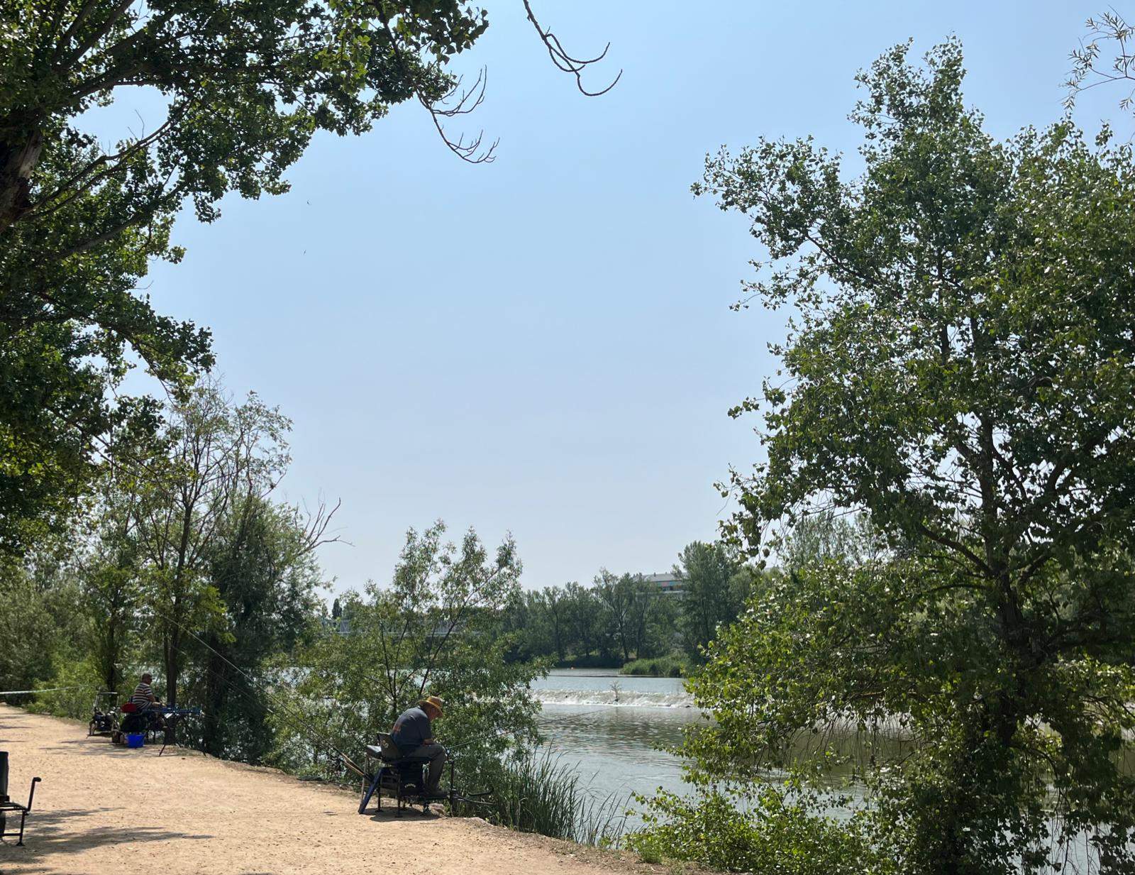 pesca