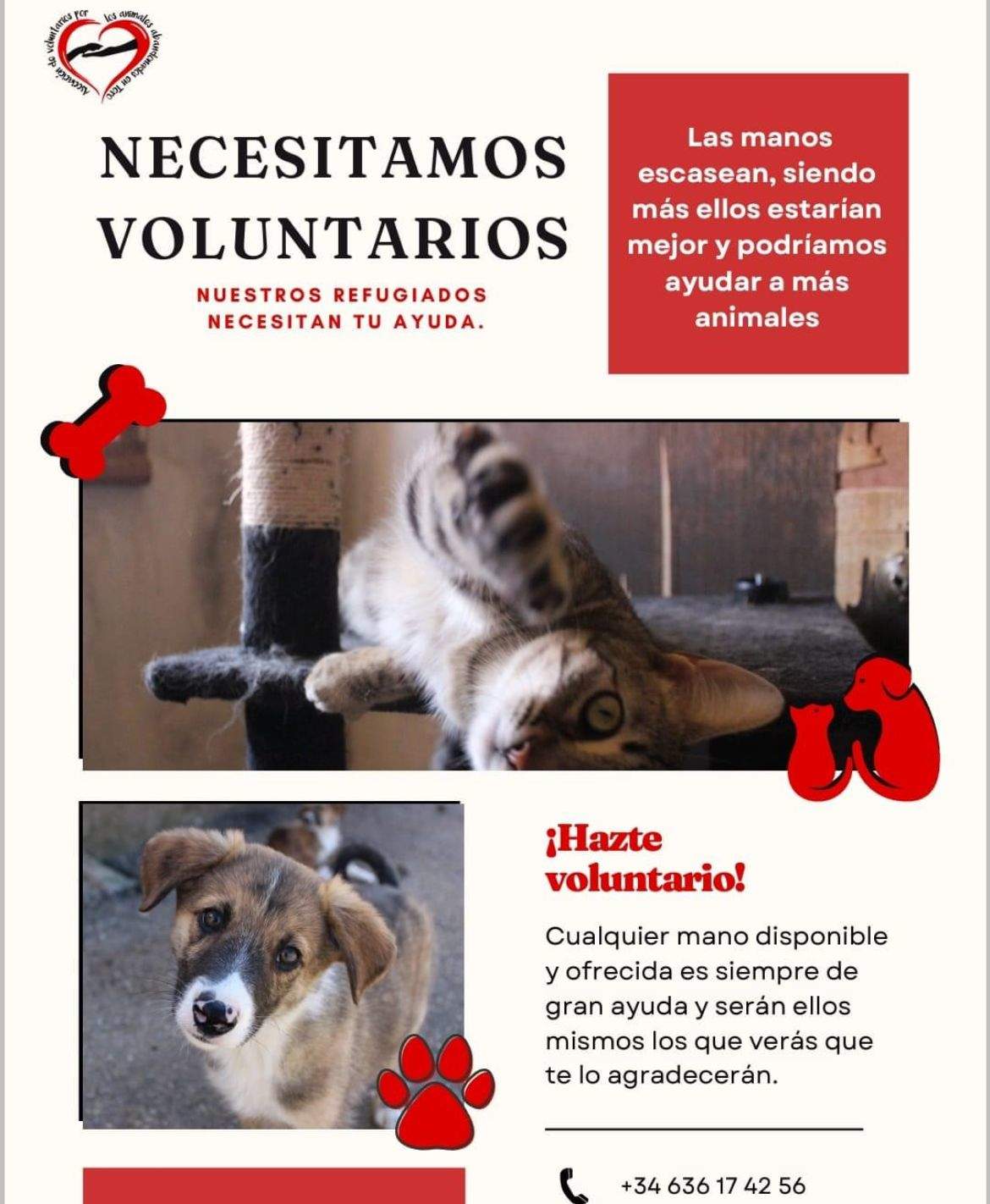 REFUGIO TORO