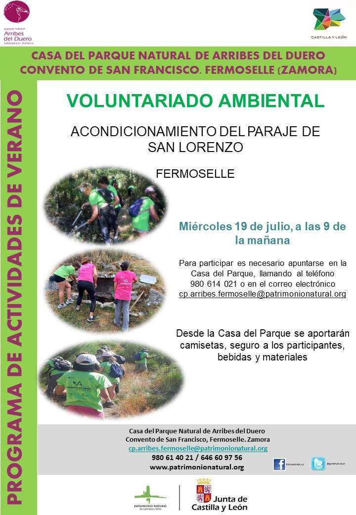 CARTEL VOLUNTARIADO EN FERMOSELLE 23
